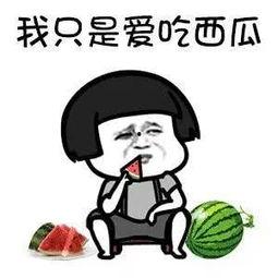 吃瓜娱乐圈动画视频,娱乐圈动画视频趣味盘点